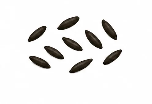 Crottes de souris (Mus musculus)